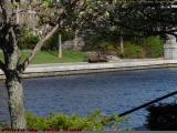 Park Bench Perspective, Lechmere Canal, Cambridge