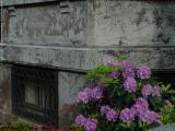 Wall Detail With Blooms, Commonwealth Avenue, Boston