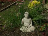 Budda In The Throne Of Leeks, Dorchester, Massachusetts