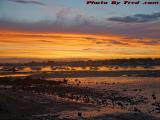 Shores of Fire # 1, Sunset Blaze Over Beverly Harbor