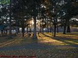 Sunset Shadows at Island Park, Wellsville, New York