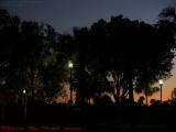Silhoettes and Street Lamps on Sunset, Plantation, Florida